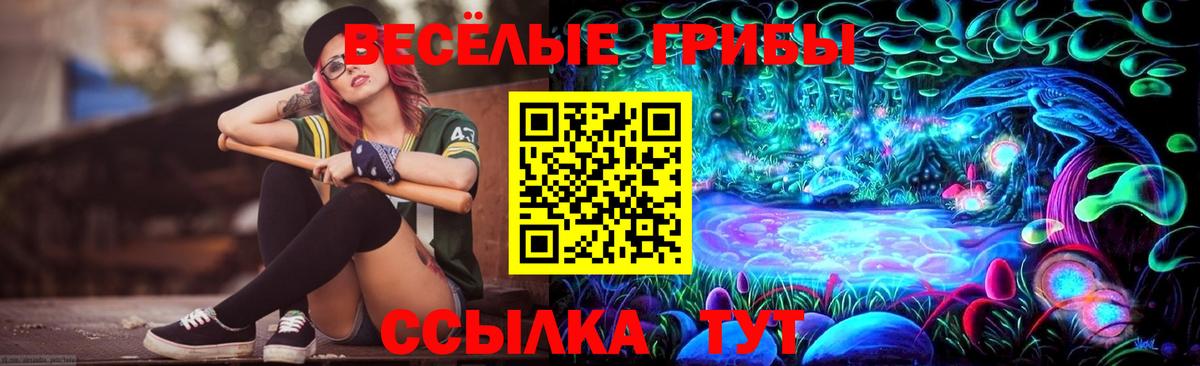 Галлюциногенные грибы мицелий Щёкино