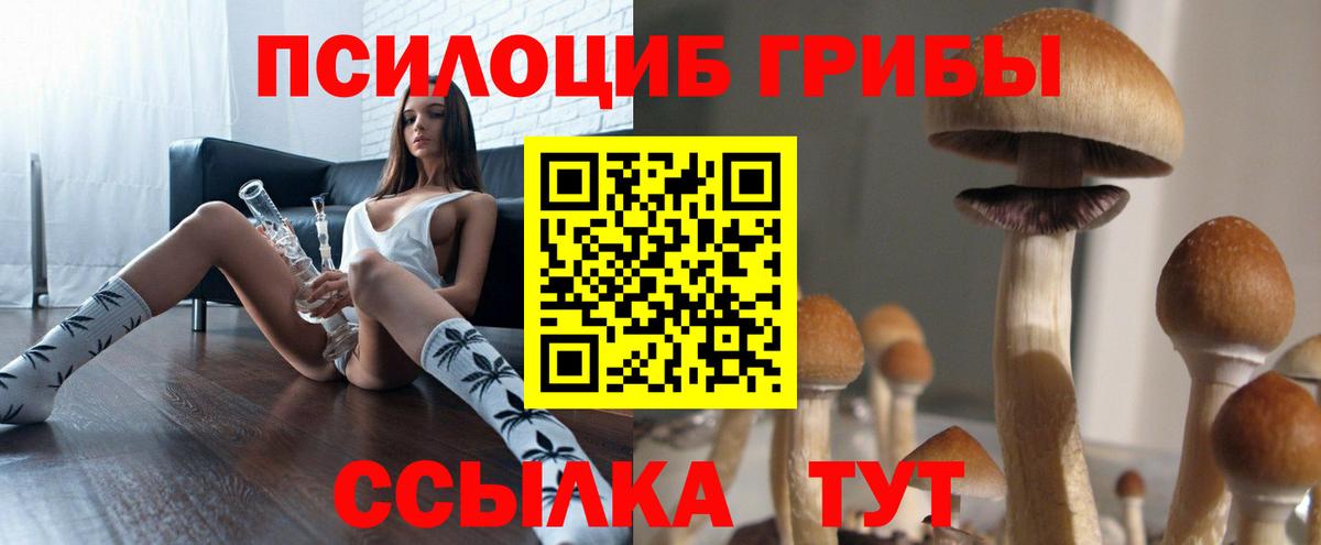 Псилоцибиновые грибы мицелий  Вход с VPN  Псилоцибиновые грибы MAGIC MUSHROOMS  наркота  Щёкино 